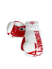 Gants de boxe Almoravid – 10oz – Combat Pro