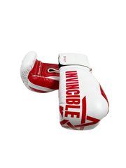 Gants de boxe Almoravid – 14oz – Velcro – Entraînement & sac
